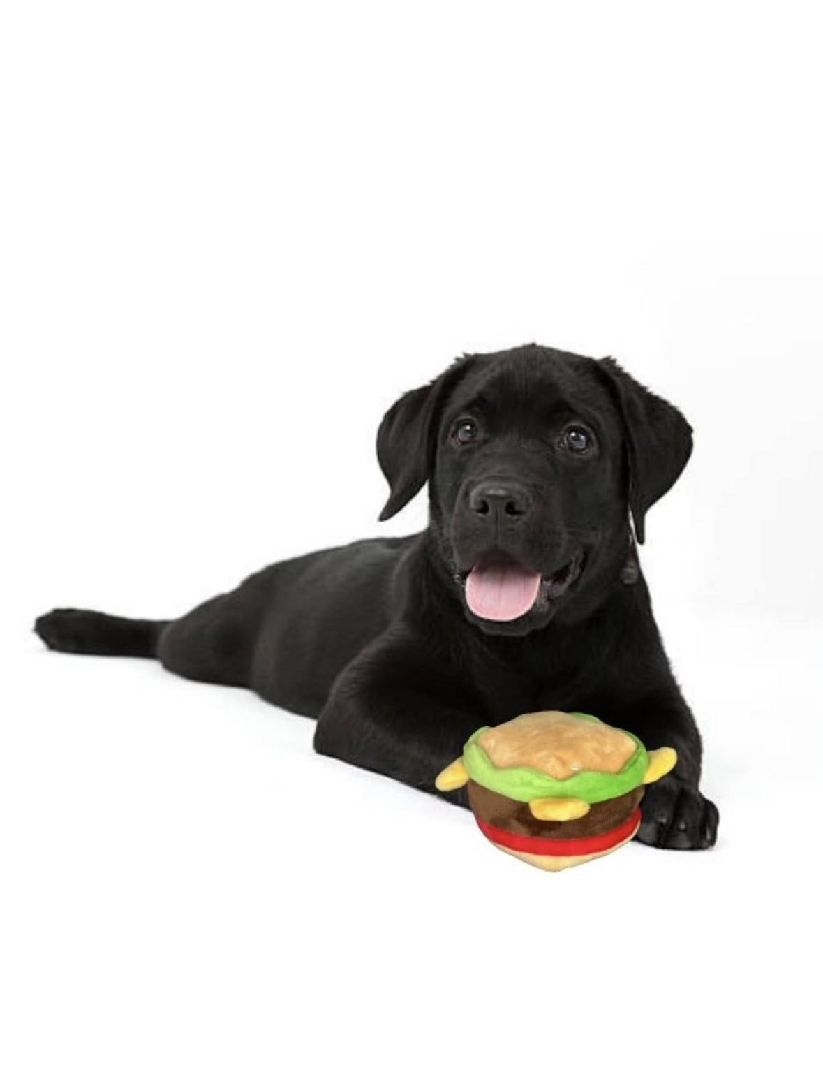 Hamburger Dog Toy with Squeaker J6515