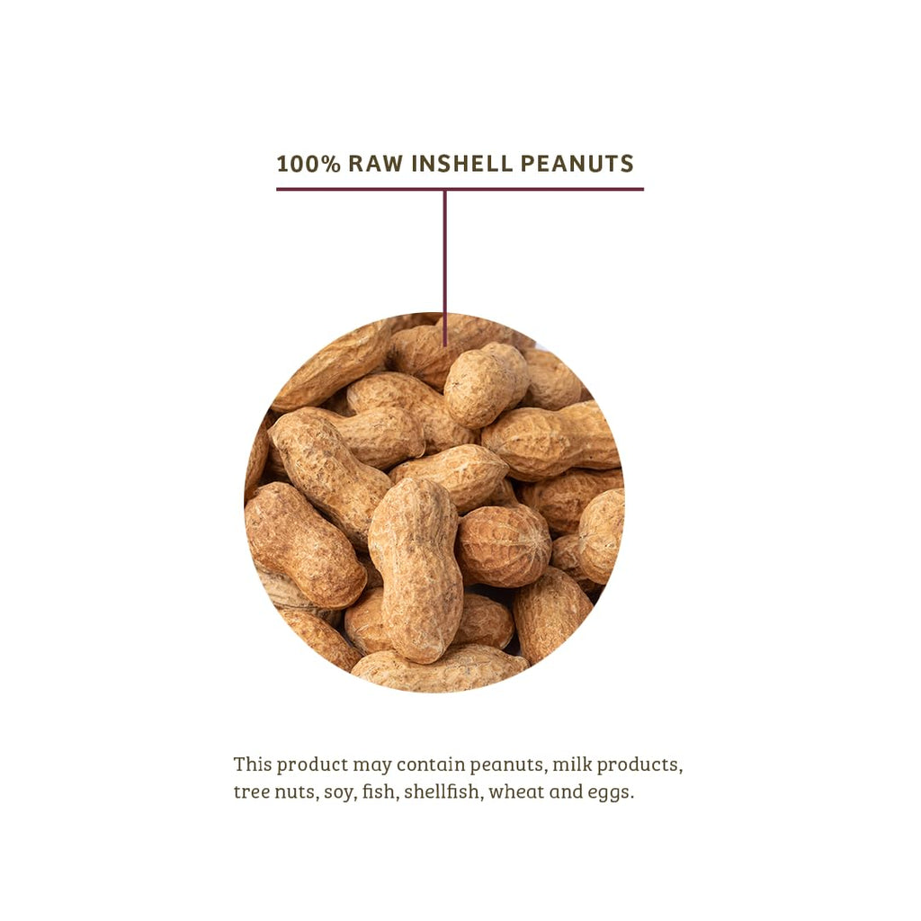 In-Shell Peanuts Wild Bird Food 10lb P132
