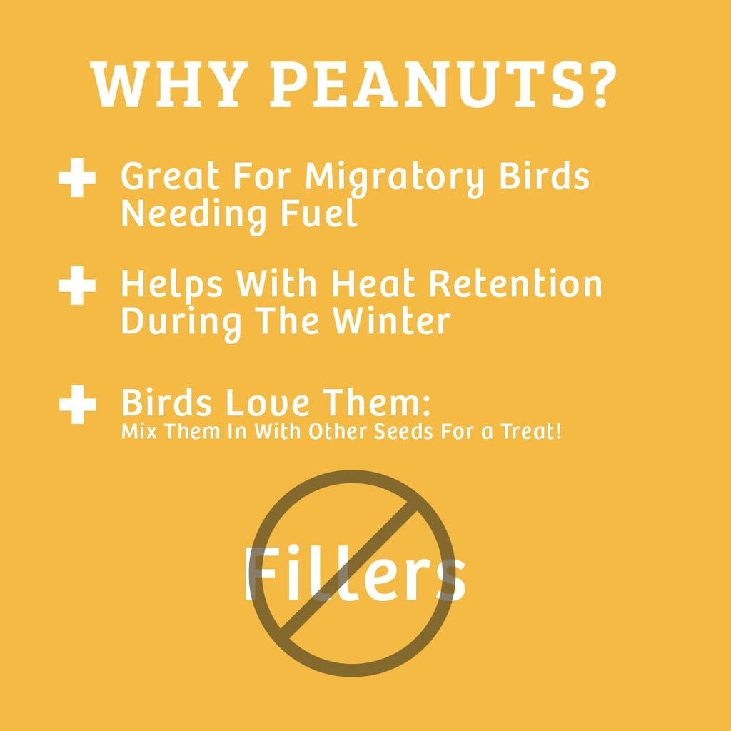 In-Shell Peanuts Wild Bird Food 10lb P132