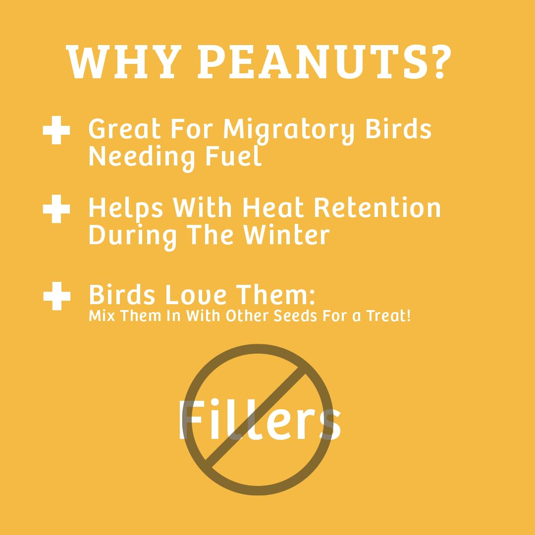 In-Shell Peanuts Wild Bird Food 10lb P132