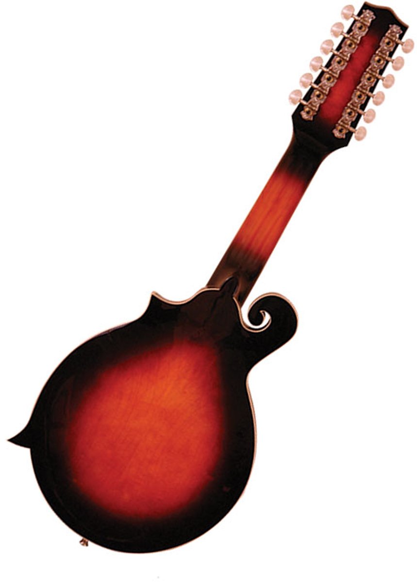 12-String Manditar with Case D7891