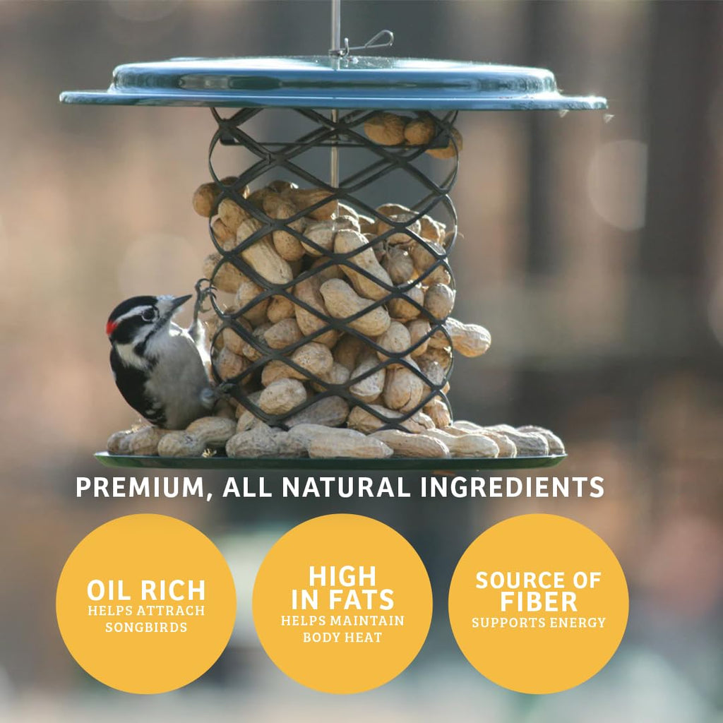 In-Shell Peanuts Wild Bird Food 10lb P132