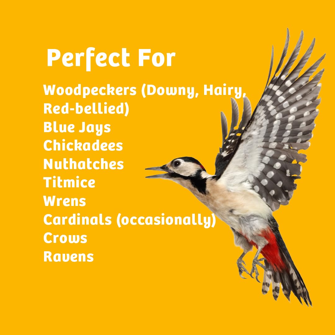 In-Shell Peanuts Wild Bird Food 10lb P132