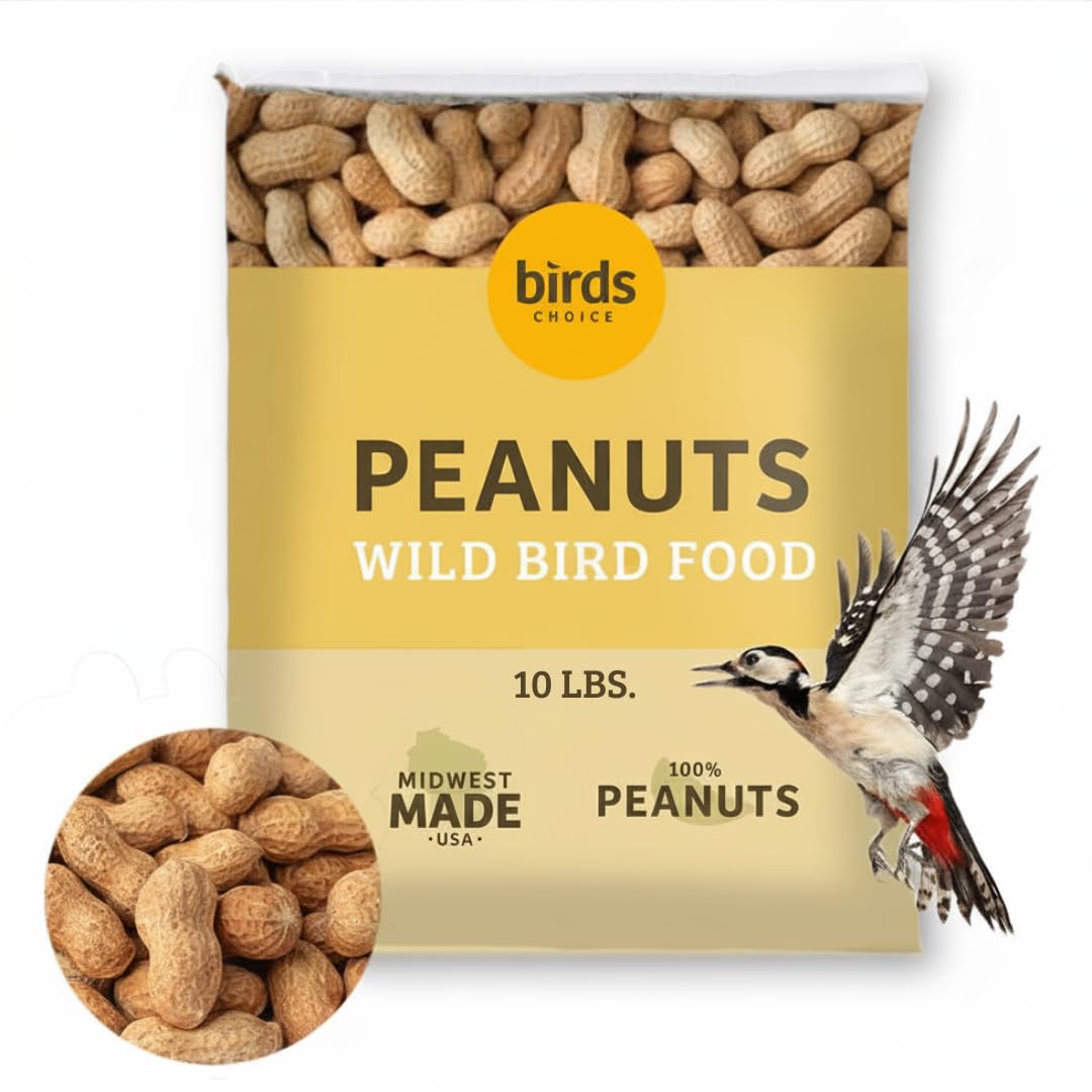 In-Shell Peanuts Wild Bird Food 10lb P132