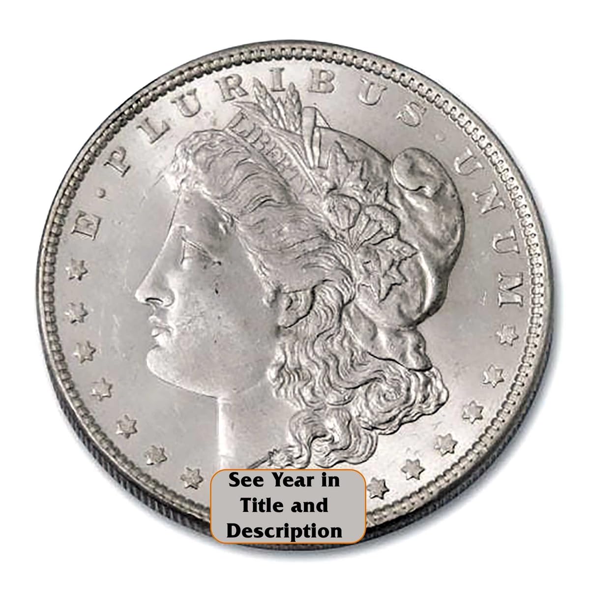 Morgan Silver Dollar W92813