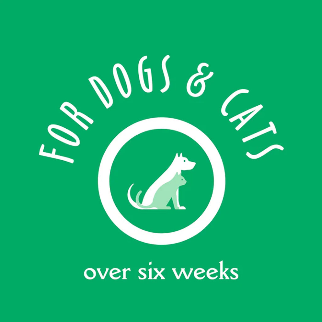 Oatmeal & Aloe Dog Shampoo, 16 fl oz X1138