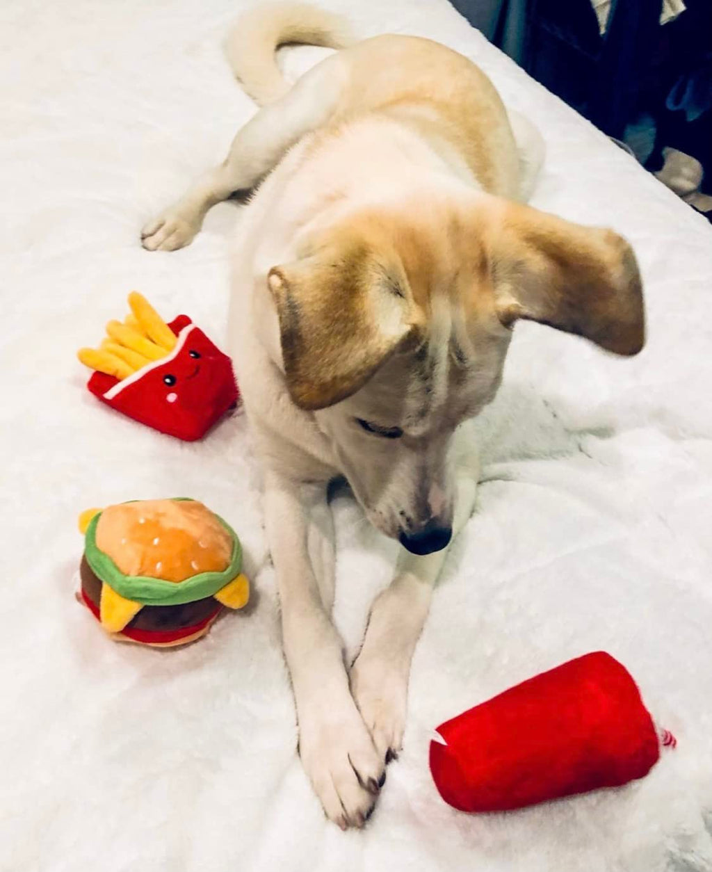 Hamburger Dog Toy with Squeaker J6515