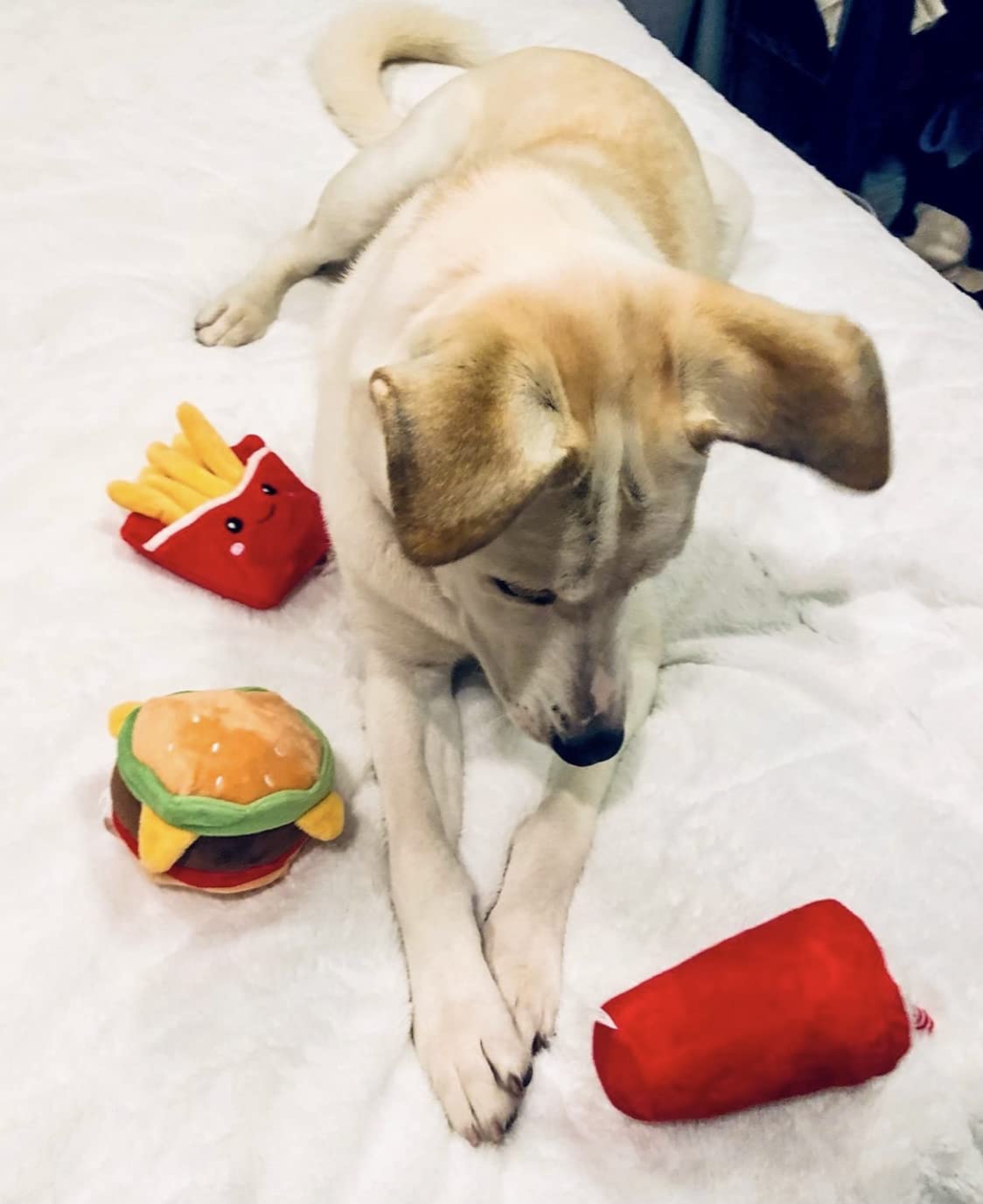 Hamburger Dog Toy with Squeaker J6515