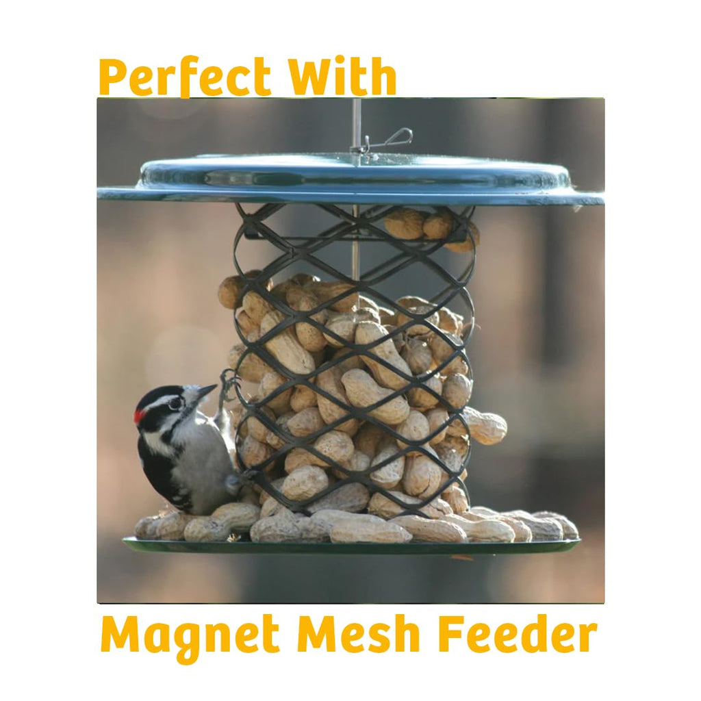 In-Shell Peanuts Wild Bird Food 10lb P132