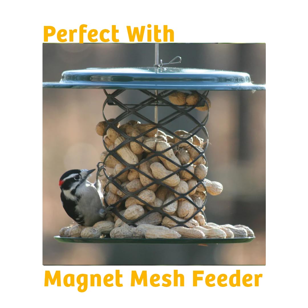 In-Shell Peanuts Wild Bird Food 10lb P132
