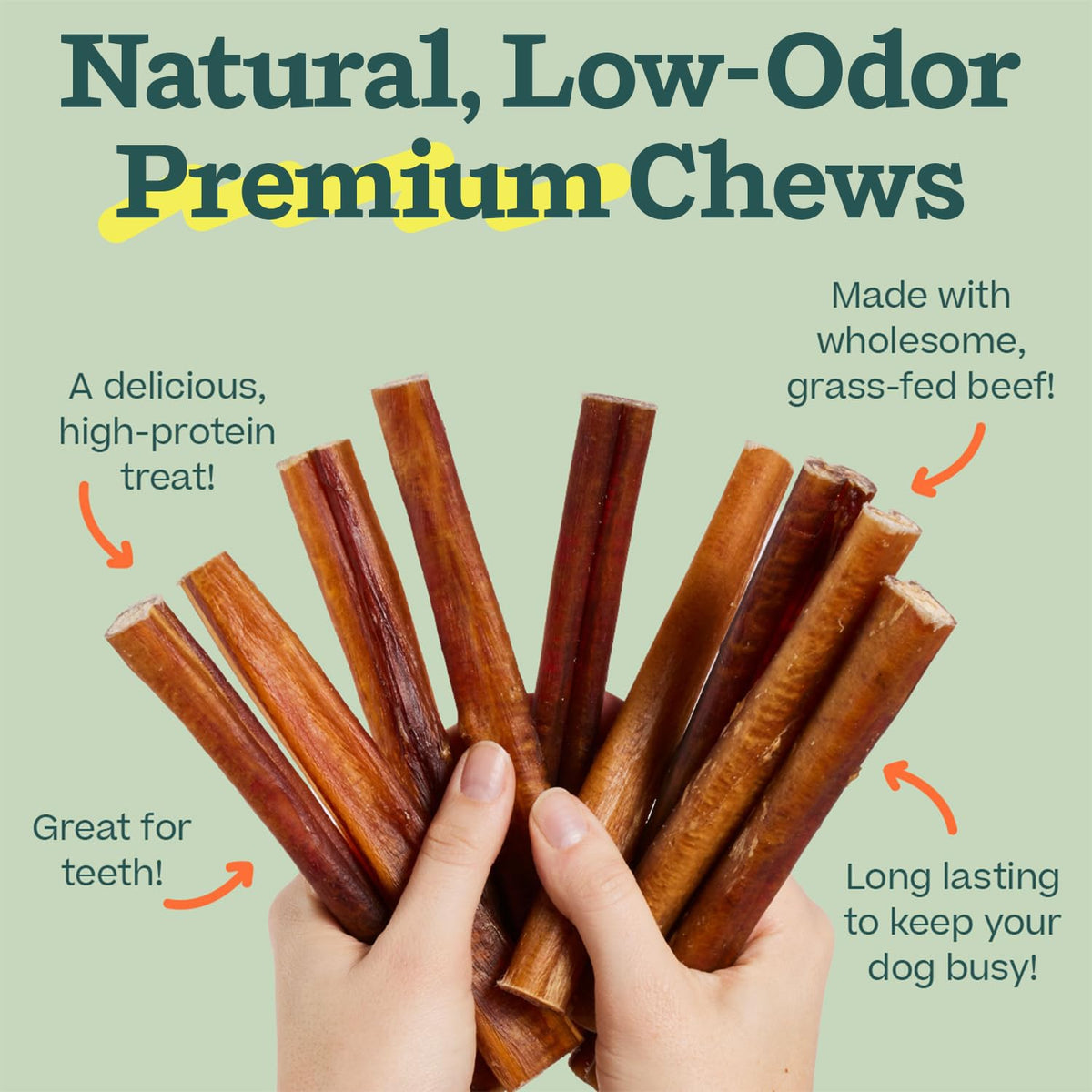 6 Inch 5 Count Dog Chew Treats J435