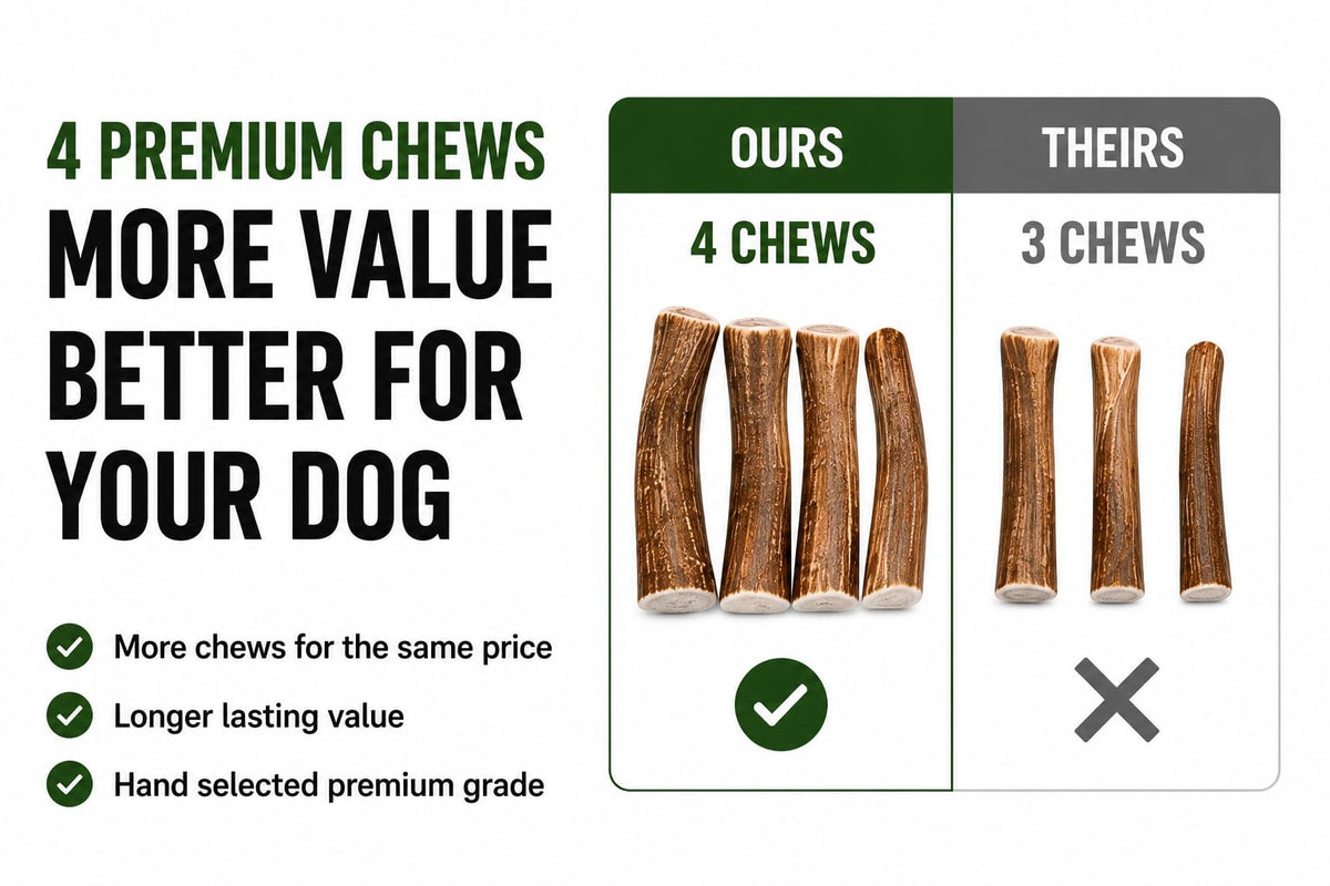 Deer Antler Dog Chews One Pound U258
