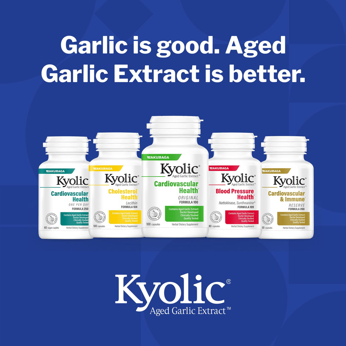 Aged Garlic Extract 300 Capsules F48506
