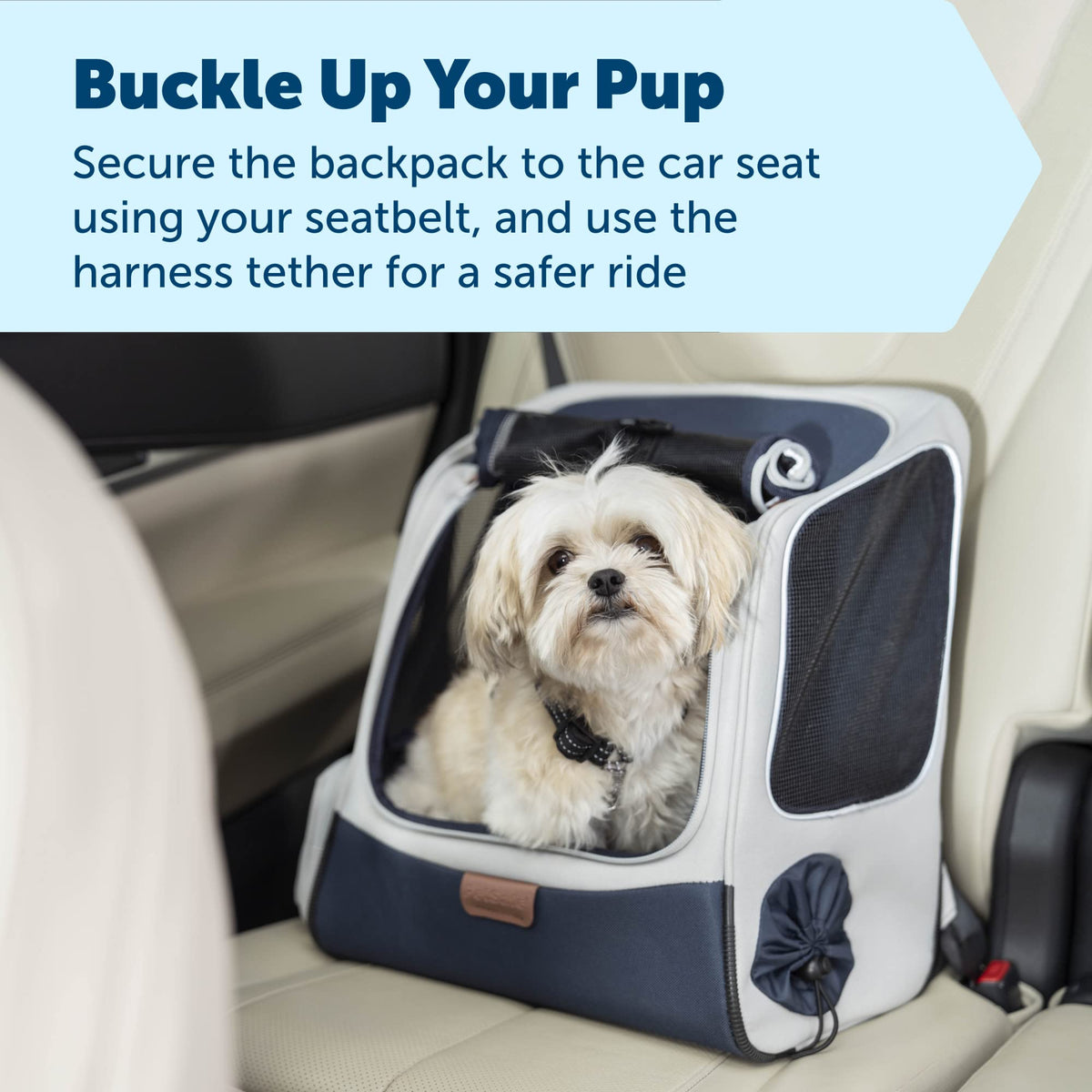 Pet Carrier N612320