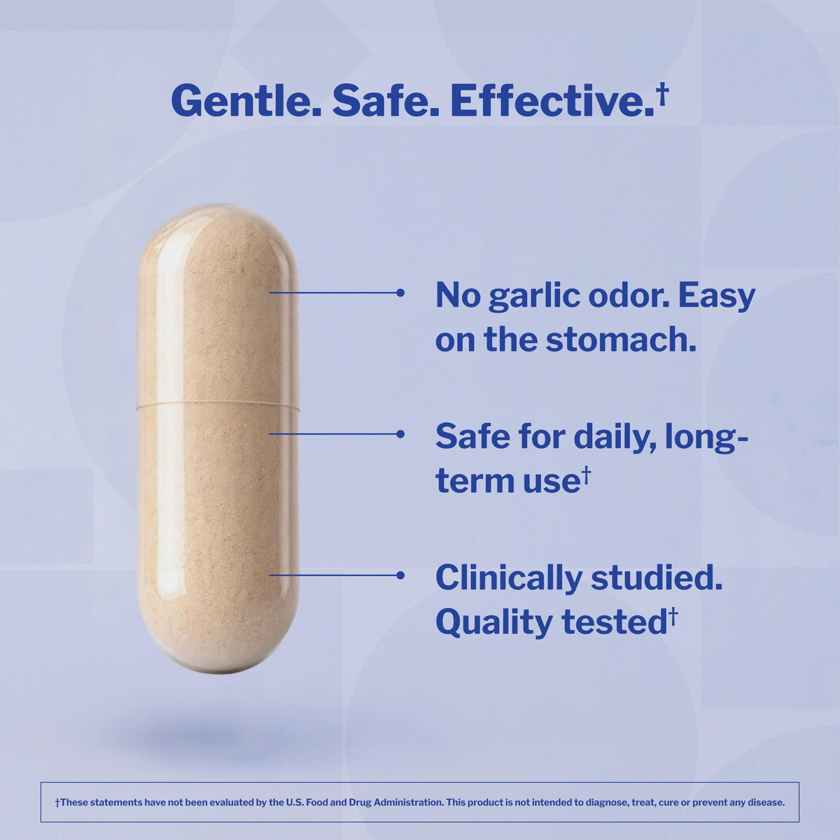 Aged Garlic Extract 300 Capsules F48506