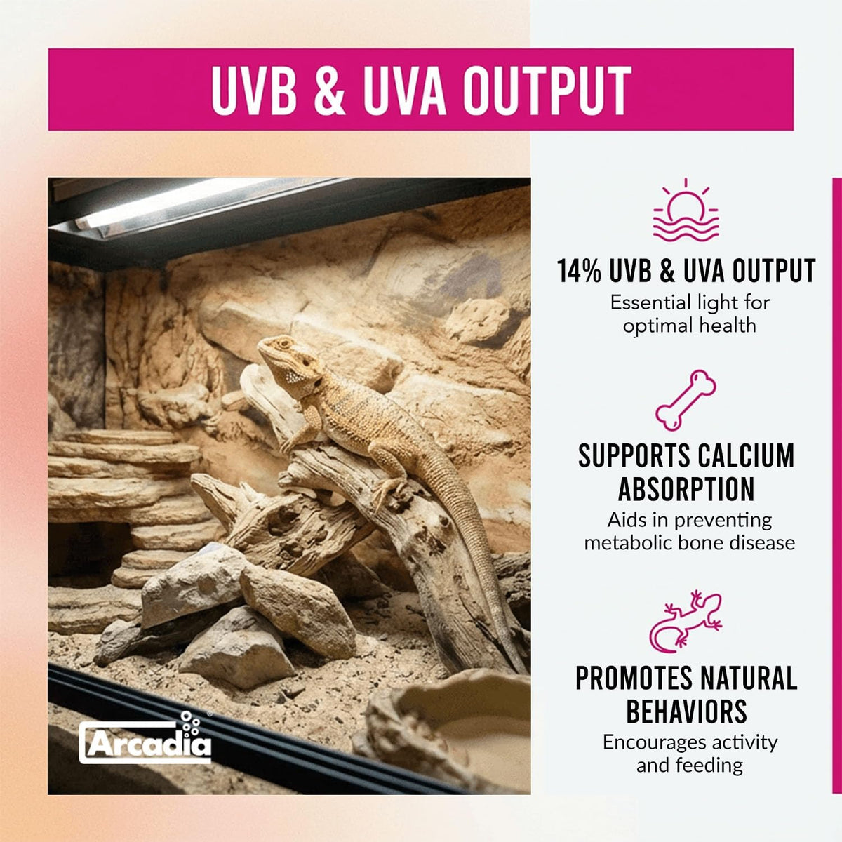 39W UVB Lighting Kit R5610