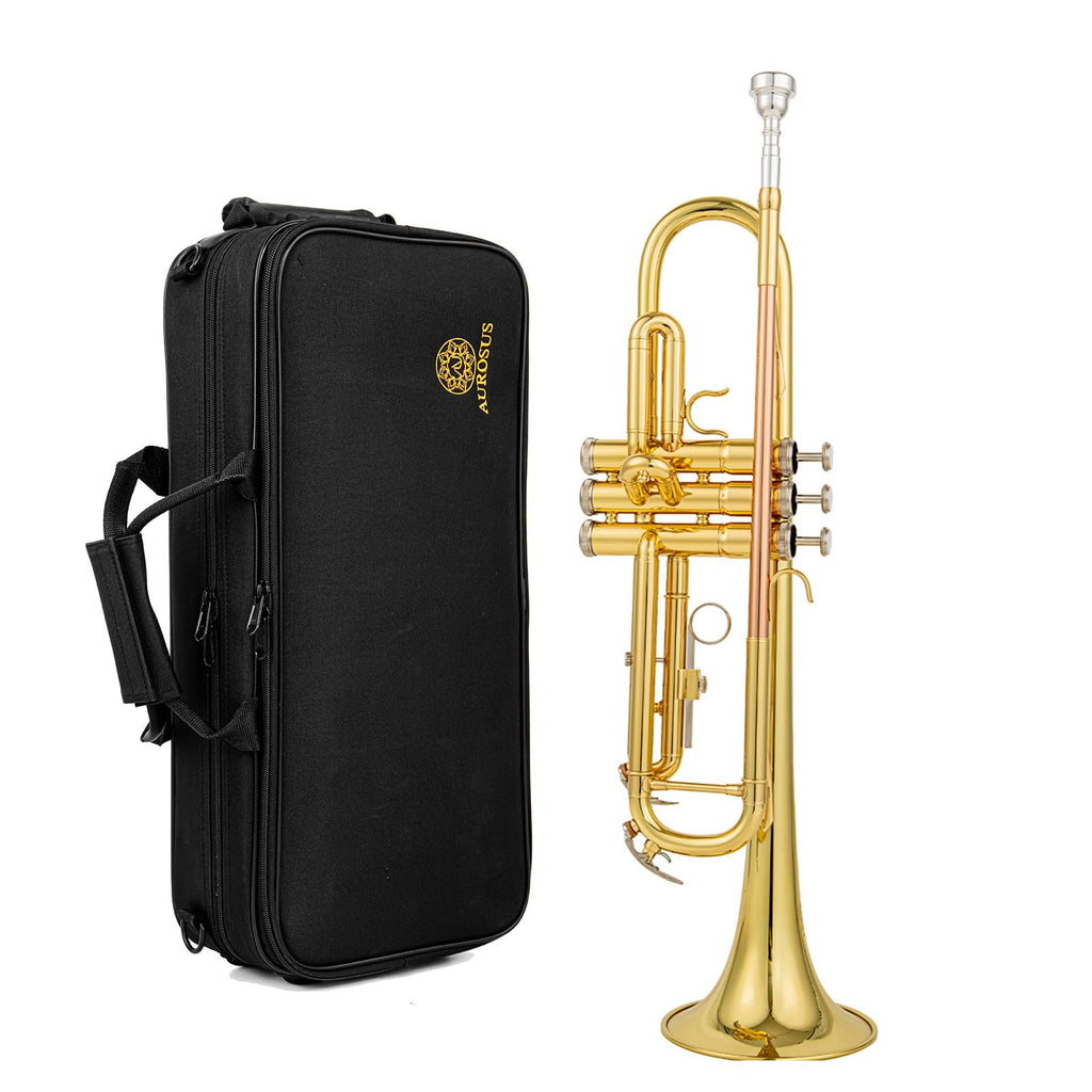 Beginner Student Trumpet with Rose Brass Leadpipe G485