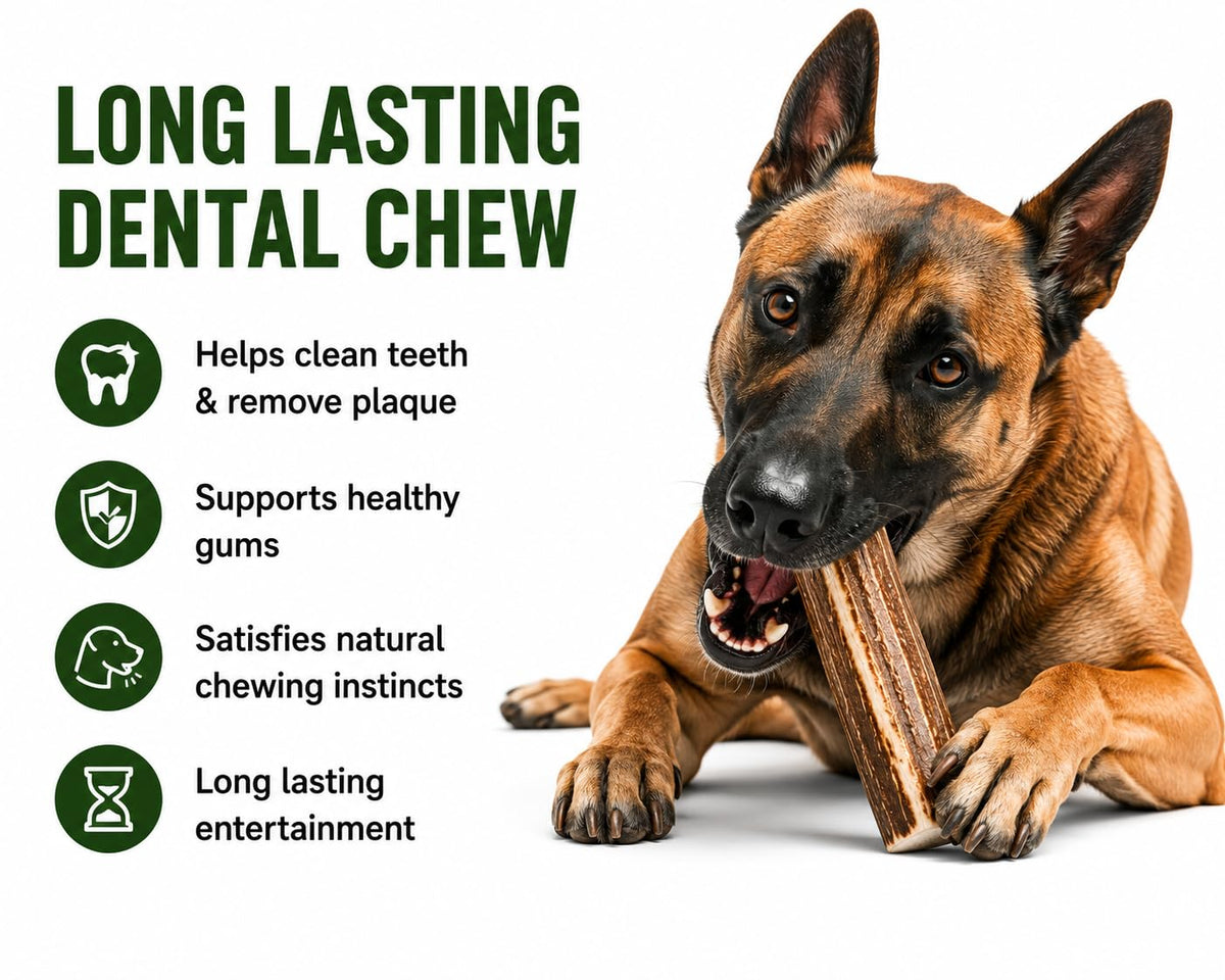 Deer Antler Dog Chews One Pound U258