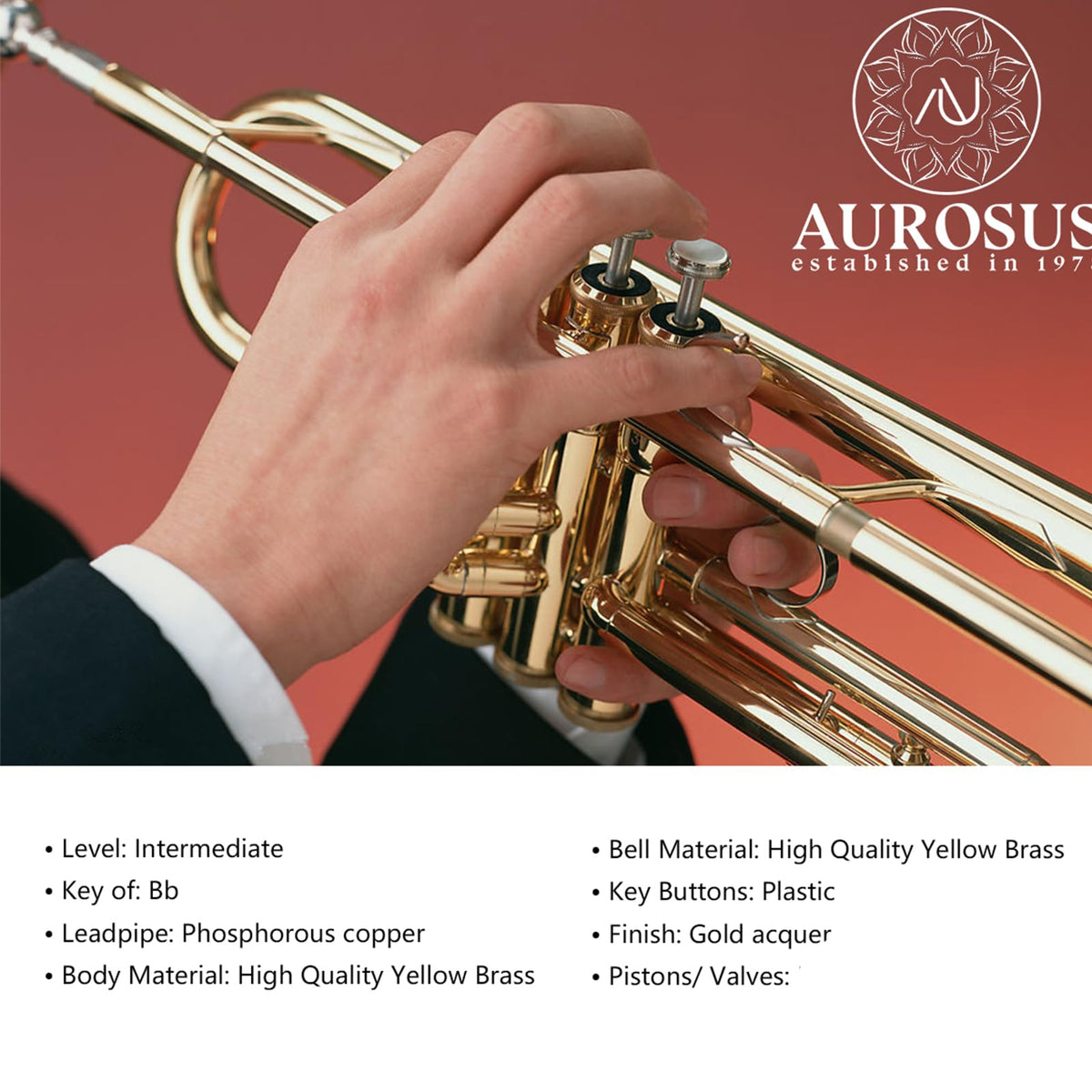 Beginner Student Trumpet with Rose Brass Leadpipe G485