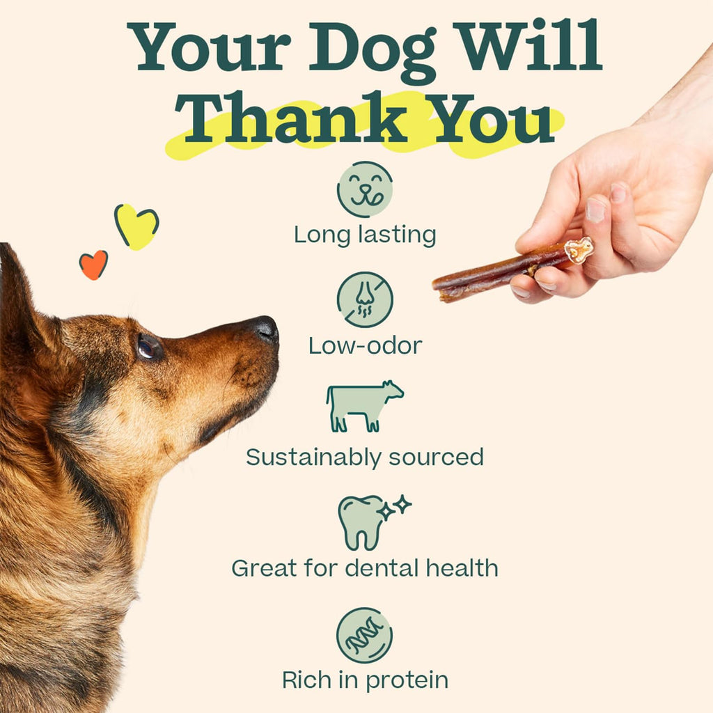 6 Inch 5 Count Dog Chew Treats J435