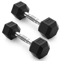 2.5-100lb Dumbbell W506