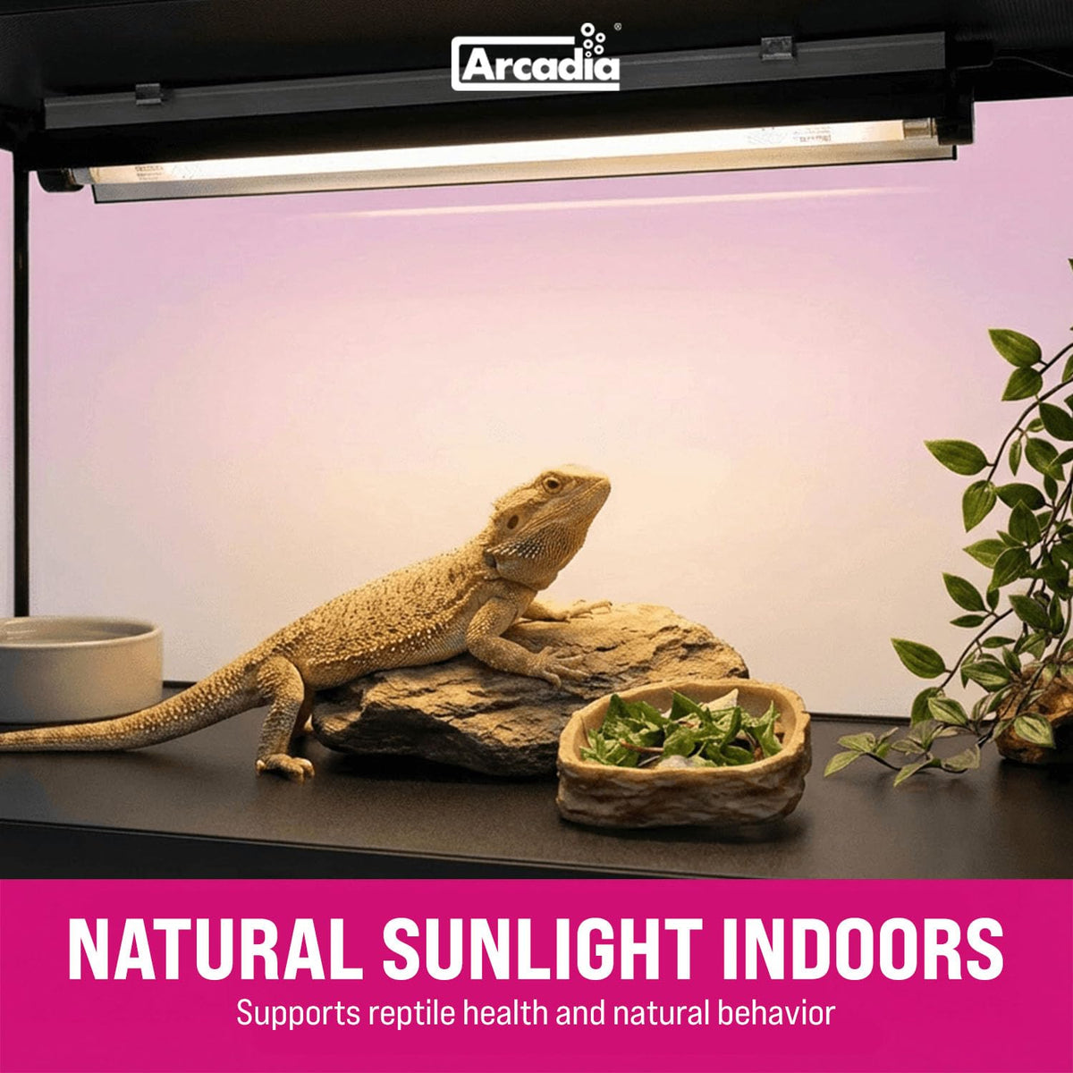 39W UVB Lighting Kit R5610