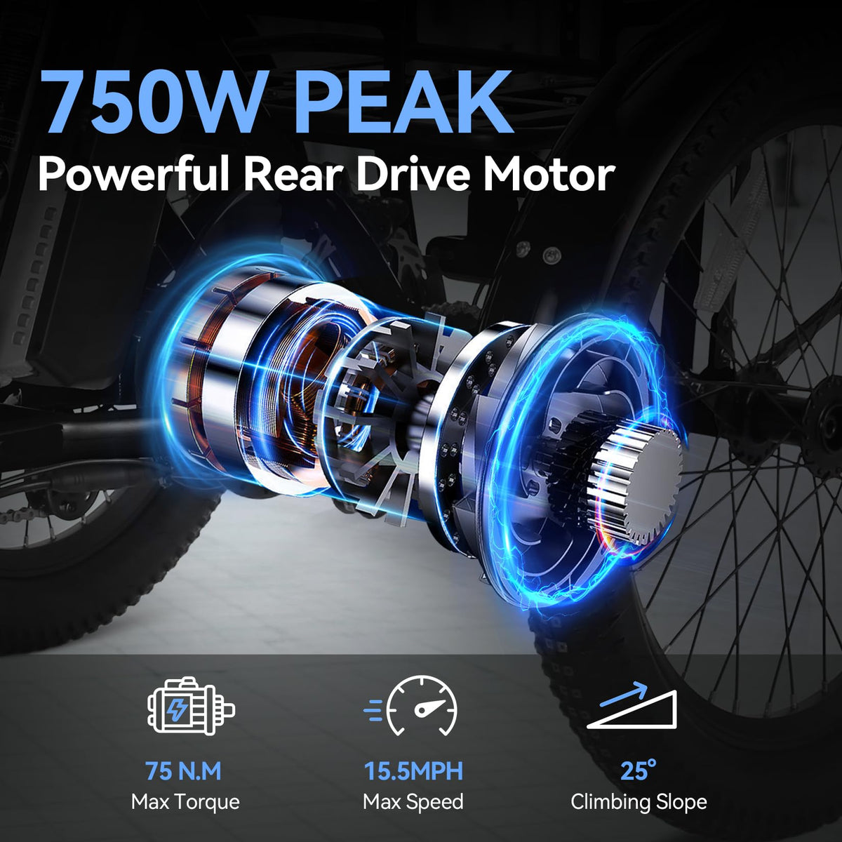 20'' Folding Electric Trike 750W 3-Wheel Bike with Removable Battery O774