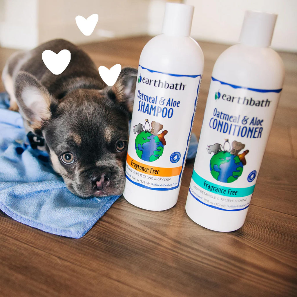 Oatmeal & Aloe Dog Shampoo, 16 fl oz X1138