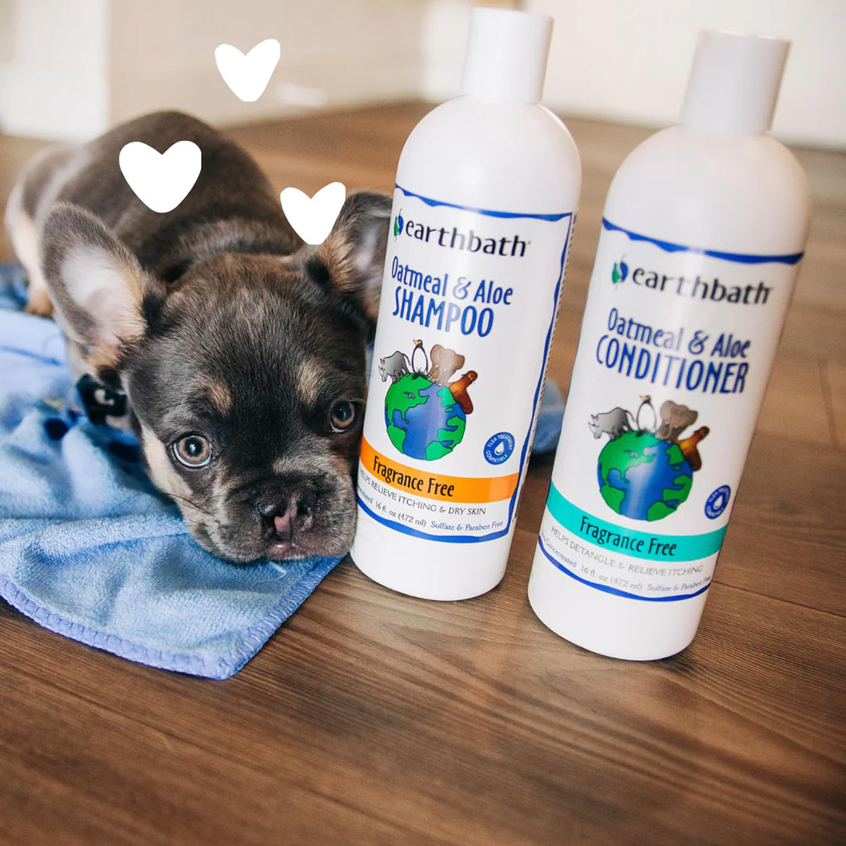 Oatmeal & Aloe Dog Shampoo, 16 fl oz X1138