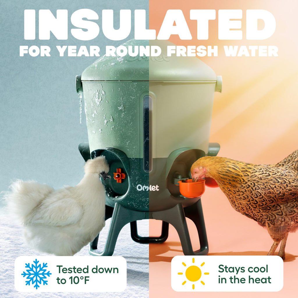 3 Gallon Insulated Chicken Waterer with Cups & Nipples F411879