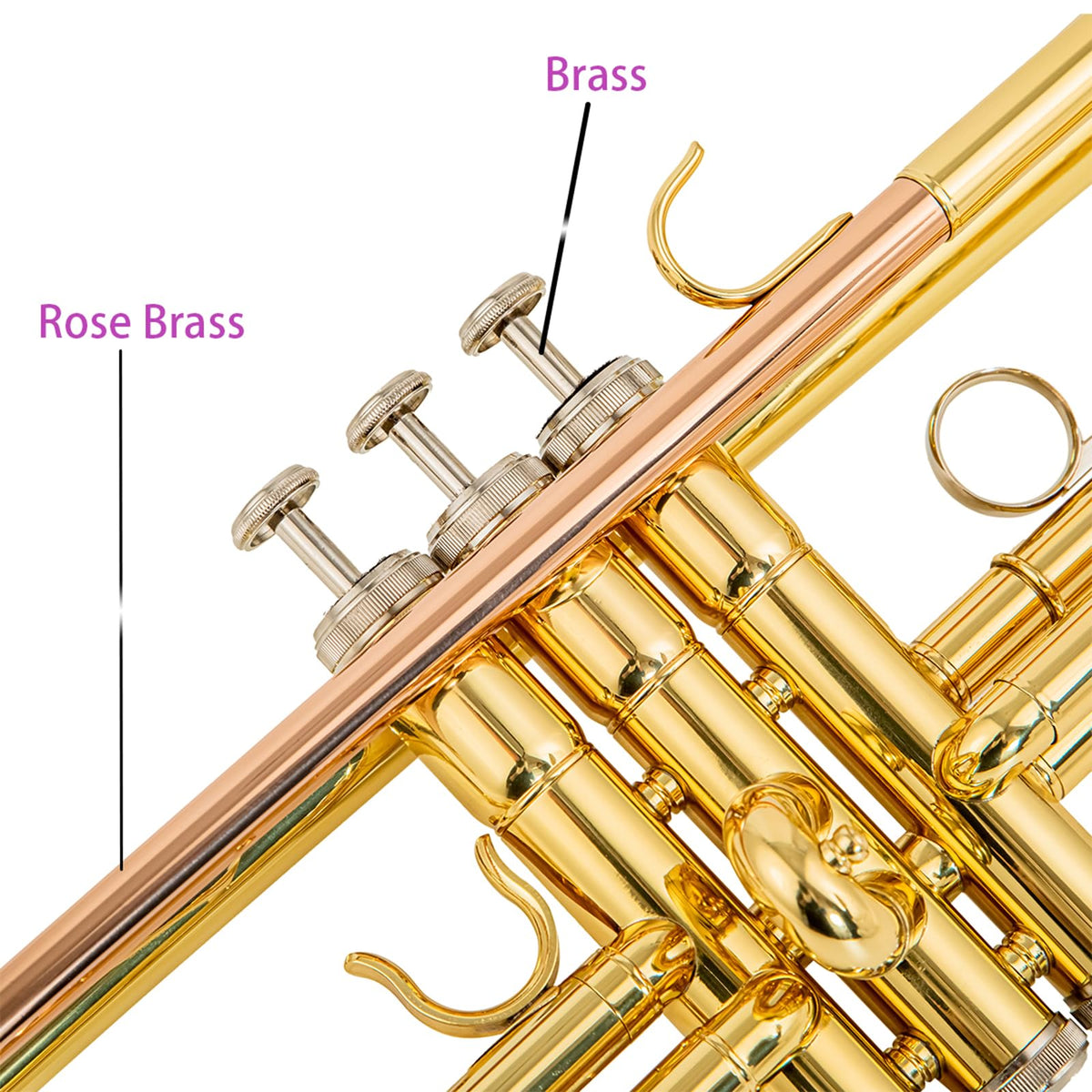 Beginner Student Trumpet with Rose Brass Leadpipe G485