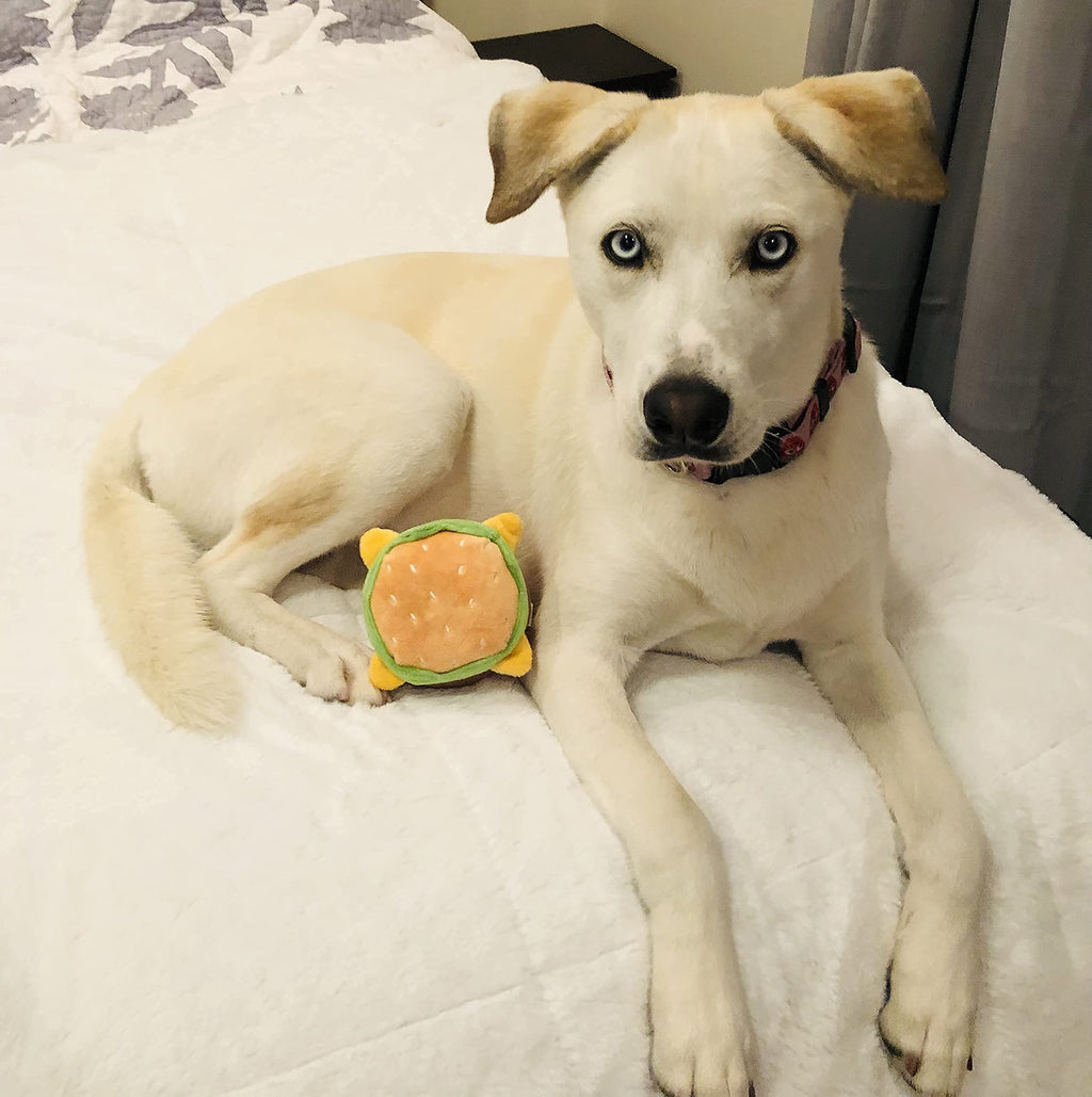 Hamburger Dog Toy with Squeaker J6515