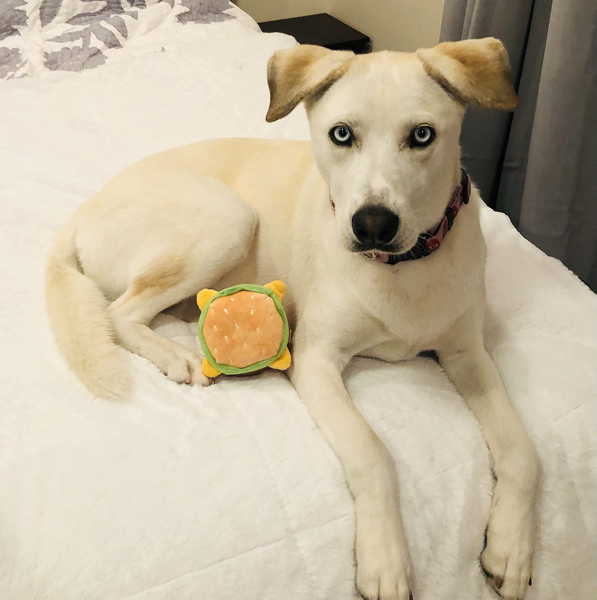 Hamburger Dog Toy with Squeaker J6515