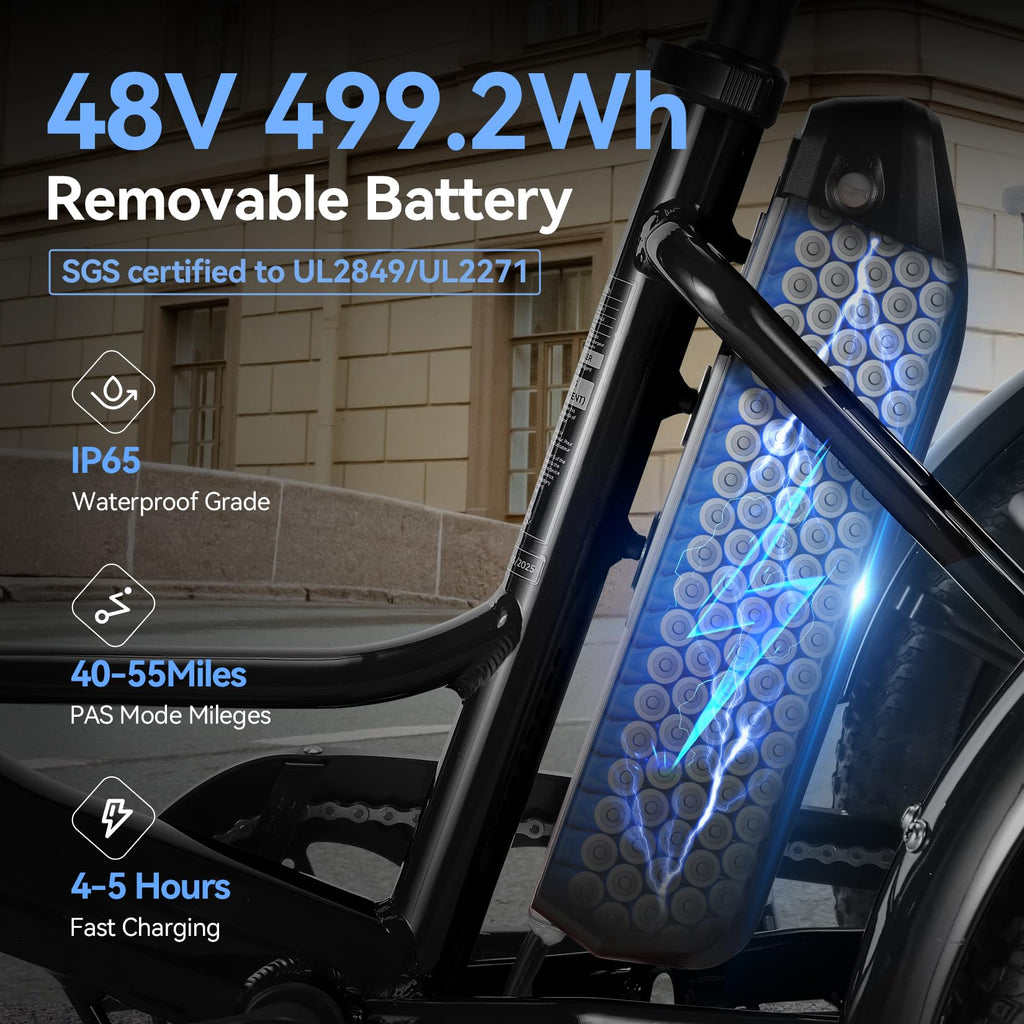 20'' Folding Electric Trike 750W 3-Wheel Bike with Removable Battery O774