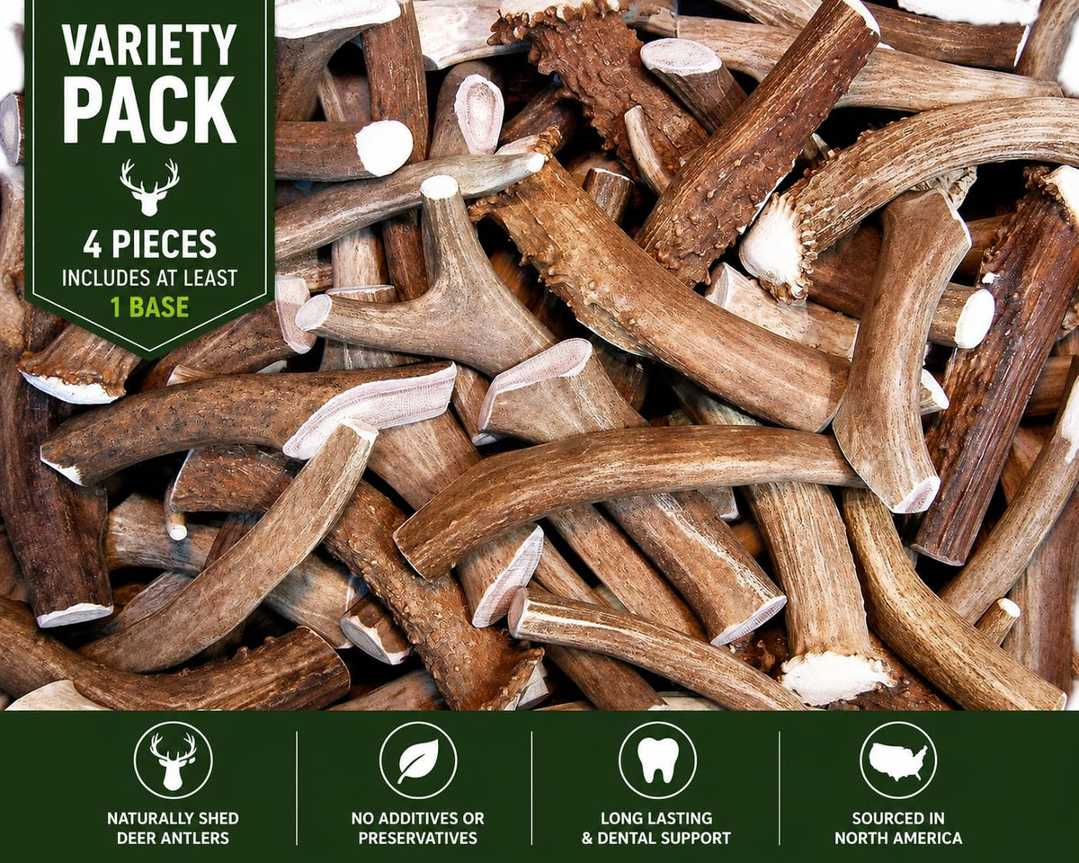 Deer Antler Dog Chews One Pound U258