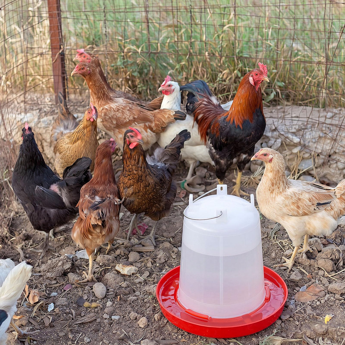 2 Pcs 2 Gallon Plastic Chicken Waterer O238341