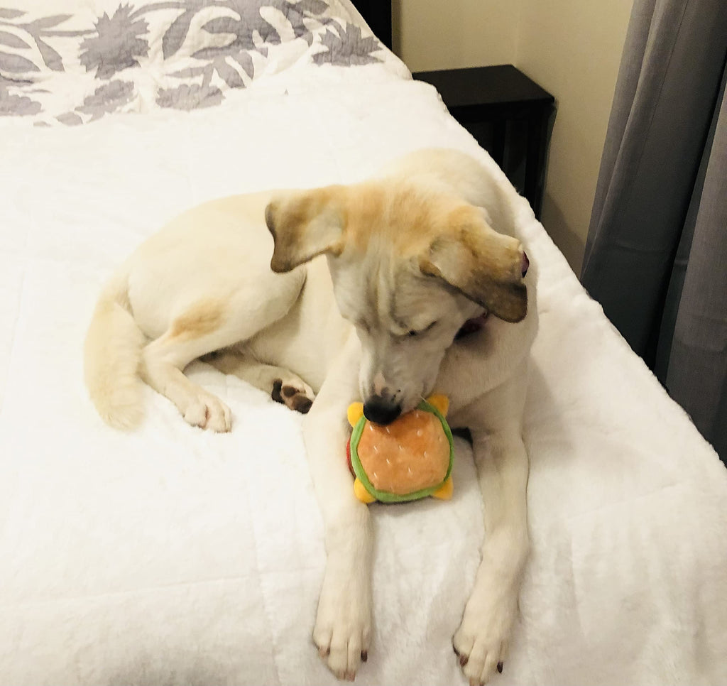Hamburger Dog Toy with Squeaker J6515