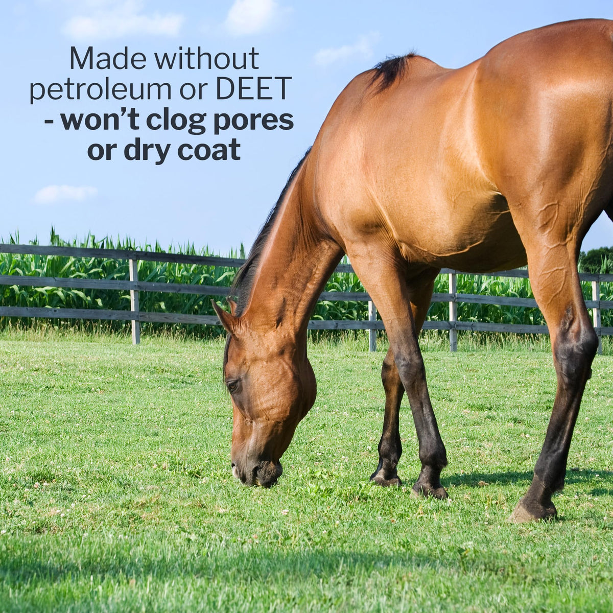Fly Deny Spray for Horses & Ponies 1 Gallon W3153