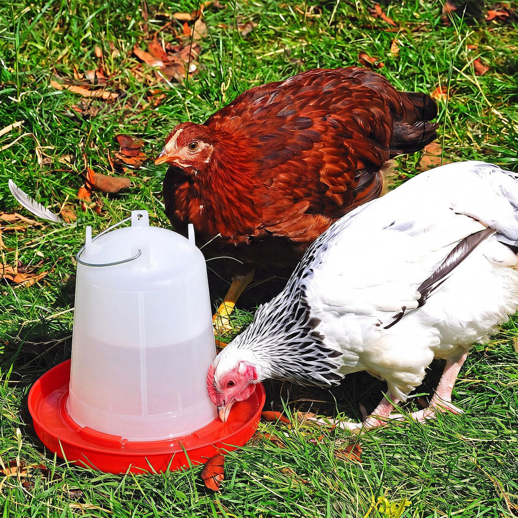 2 Pcs 2 Gallon Plastic Chicken Waterer O238341